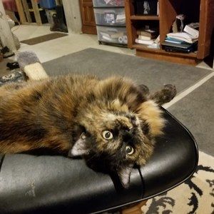 Meet your Posher, Barbara